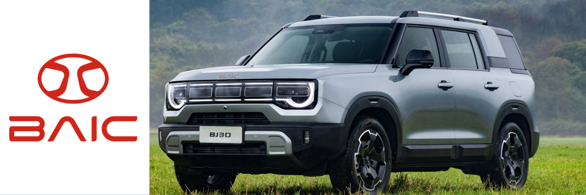 Angebote BAIC BJ30 | Das Bild zeigt einen grauen SUV auf einer Wiese am Waldrand.