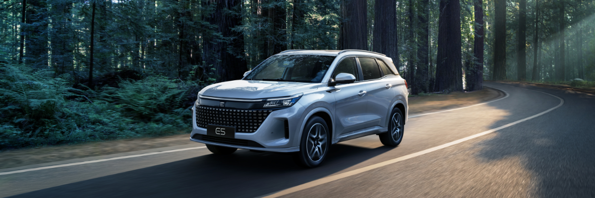 Angebot Fengon E5 | Jochem Gruppe Angebote Fengon E5 | Das Bild zeigt einen hellgrauen SUV auf einer Landstraße im Wald.