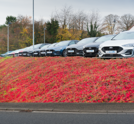 Auto Bäcker | Das Bild zeigt geparkte Fahrzeugen auf dem Außengelände.