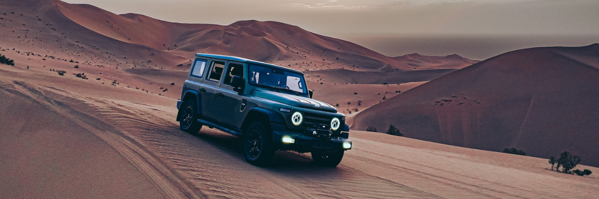 Angebot BAW 212 | Das Bild zeigt einen grauen SUV in einer Wüstenlandschaft.