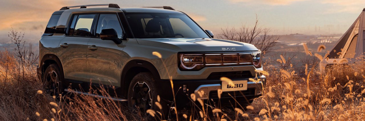 Angebote BAIC BJ30 | Das Bild zeigt einen silbernen SUV auf einer steppenähnlichen Wiese.